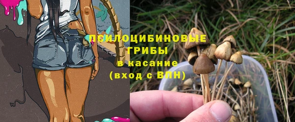 бошки Абаза