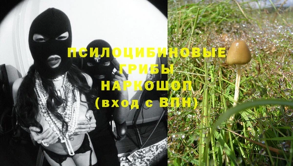 спиды Алзамай