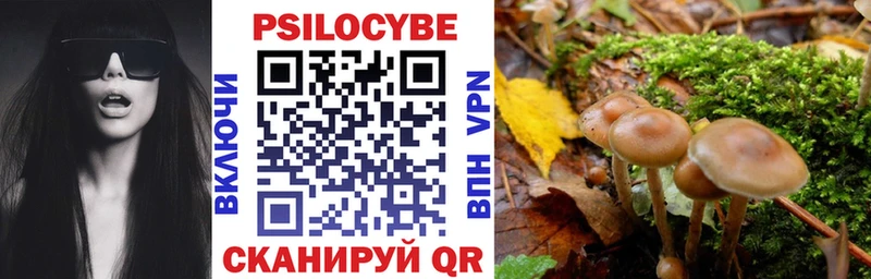 Галлюциногенные грибы GOLDEN TEACHER  цена наркотик  blacksprut   Зея 